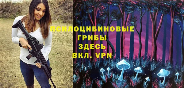амф Липки