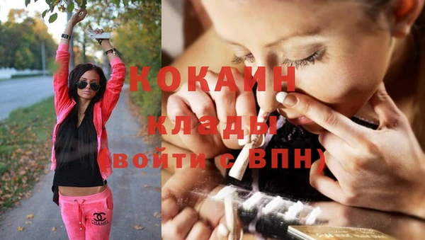 амф Липки