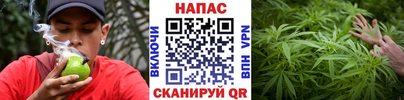 Конопля гибрид  Купить где  Плавск 